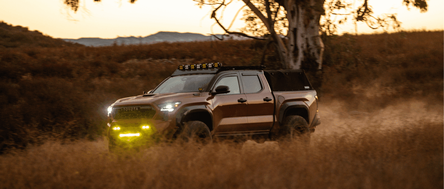 Choose your moment (3)